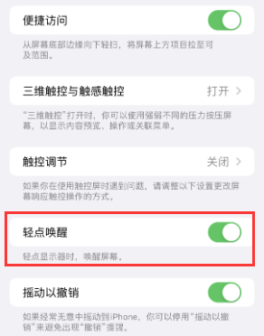 利辛苹果授权维修站分享iPhone轻点无法唤醒怎么办 