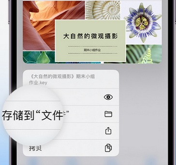 利辛apple维修中心分享iPhone文件应用中存储和找到下载文件