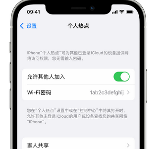 利辛apple服务站点分享iPhone上个人热点丢失了怎么办 