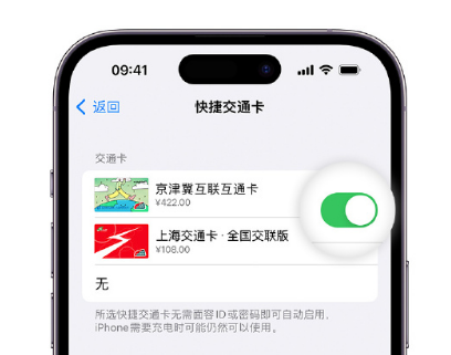 利辛apple维修点分享iPhone上更换Apple Pay快捷交通卡手绘卡面 