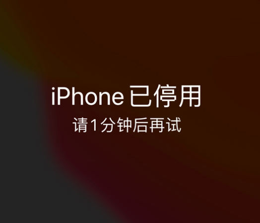 利辛苹果手机维修分享:iPhone 显示“不可用”或“已停用”怎么办？还能保留数据吗？ 