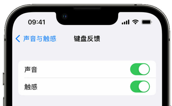 利辛苹果手机维修分享iPhone 14触感键盘使用方法 