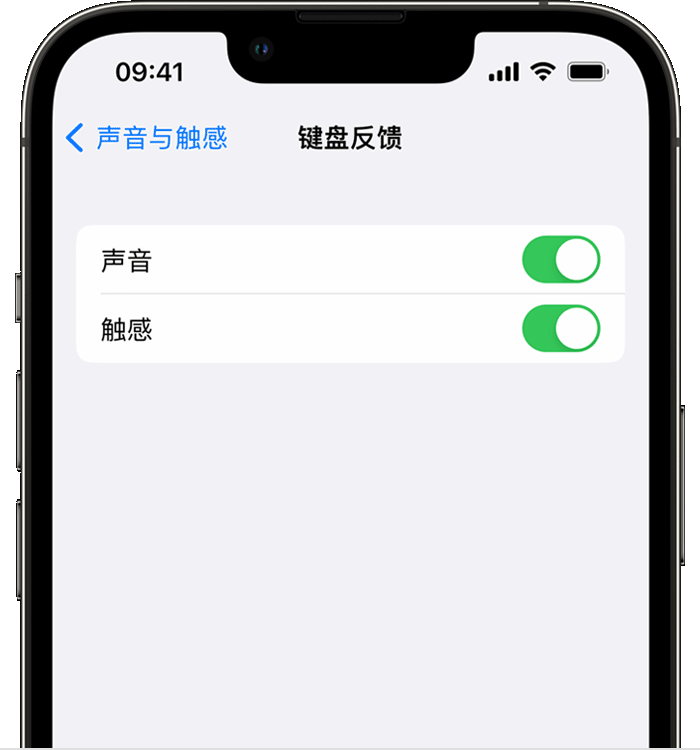 利辛苹果14维修店分享如何在 iPhone 14 机型中使用触感键盘 