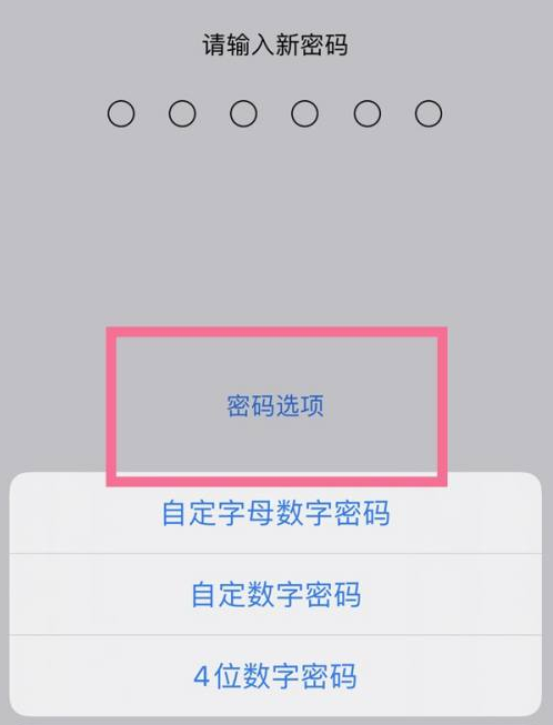 利辛苹果14维修分享iPhone 14plus设置密码的方法 