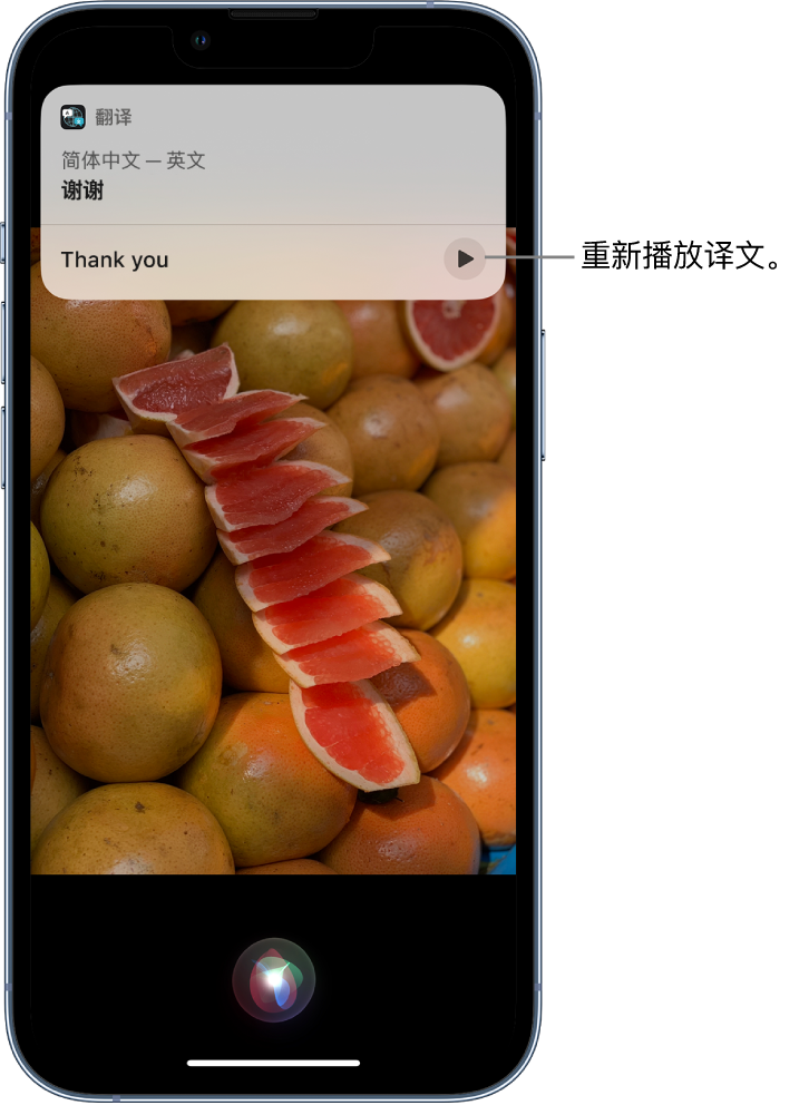 利辛苹果14维修分享 iPhone 14 机型中使用 Siri：了解 Siri 能帮你做什么 