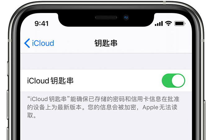 利辛苹果手机维修分享在 iPhone 上开启 iCloud 钥匙串之后会储存哪些信息 