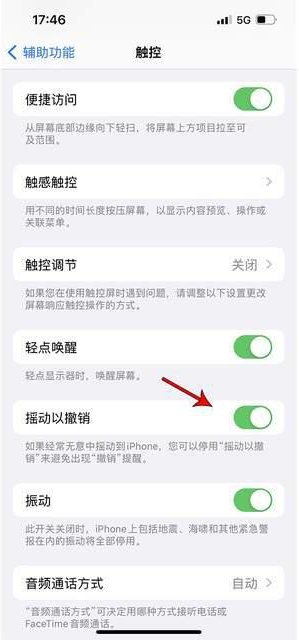 利辛苹果手机维修分享iPhone手机如何设置摇一摇删除文字 